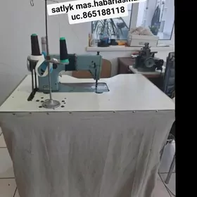 GadiGadim tikin masin