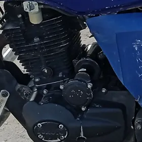 Diwgtel 250 limoto