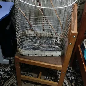 клетка для попугаев