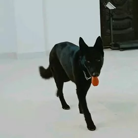 на вязку