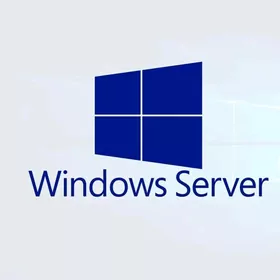 Windows 11 Pro license