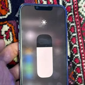 iphone 13pro