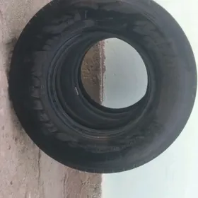 teker 7.50 brişton