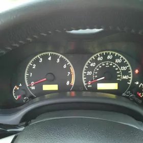 carolla 13 pyrbor