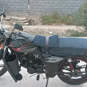 Fekon FK150-8G 2009