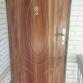 Дверь жилезная