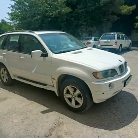 diskapakryska x5