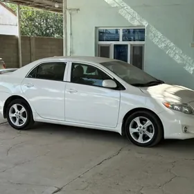 Toyota Corolla 2010