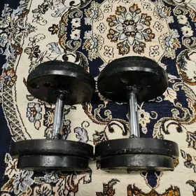 Gantel 24kg