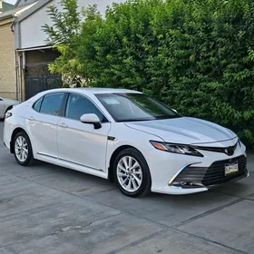 Toyota Camry 2022
