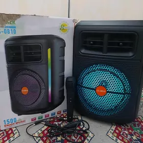 Speaker CS-0810