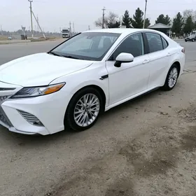 Toyota Camry 2019