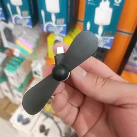 Sowadyjy Wintilýator