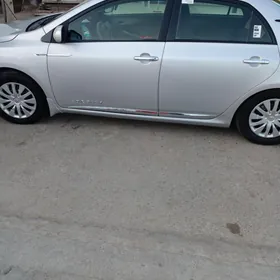 Toyota Corolla 2009
