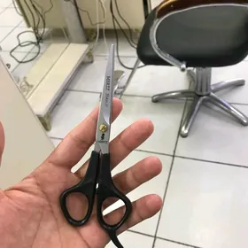 mertz gayçy