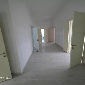 элитка