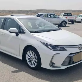 Toyota Corolla 2019