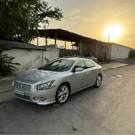 Nissan Maxima 2010