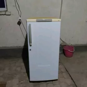 Holodinik