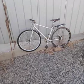 sportiwny tigir