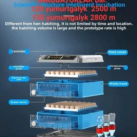 Inkubator