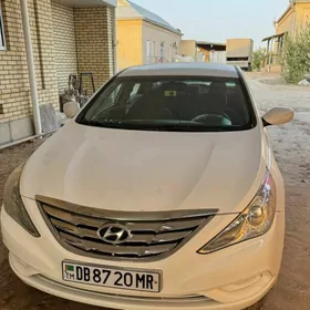 Hyundai Sonata 2010