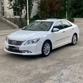 Toyota Camry 2013