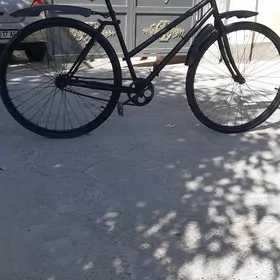 Ýapon tigir 28lik