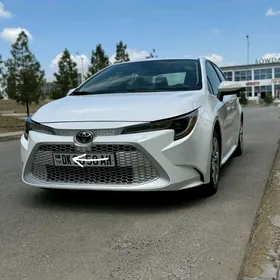 Toyota Corolla 2021