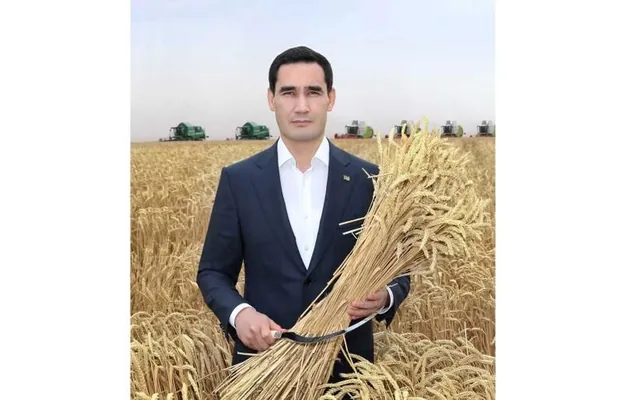 Türkmenistanda 1 million 400 müň tonnadan gowrak bugdaý hasyly tabşyryldy