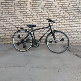 26lyk welik