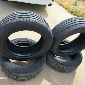 pokryshka 205/55/R16