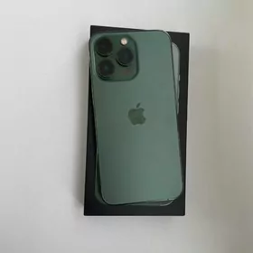 iphone 13pro