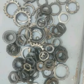 gaykalar