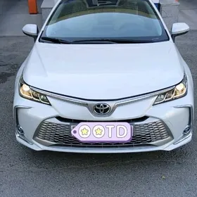 Toyota Corolla 2023