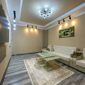 Arenda jay Mir 7