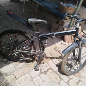 BMW Welik