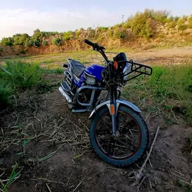 Fekon FK150-8G 2025