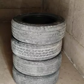 tekerler