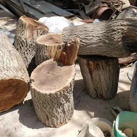 odun