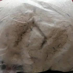 Žitkiy aboy saçakly
