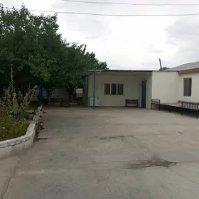 Jay hojalyk