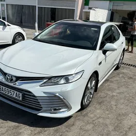 Toyota Camry 2019