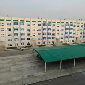 40 дом элитка алжак