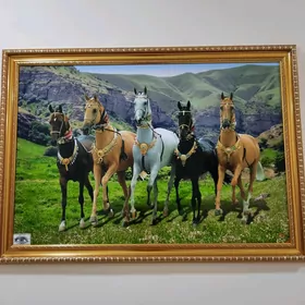 Катрины