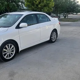 Toyota Corolla 2008