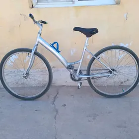 turkmenistan tigir