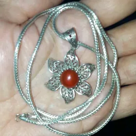 kumuş kulonly zynjyr