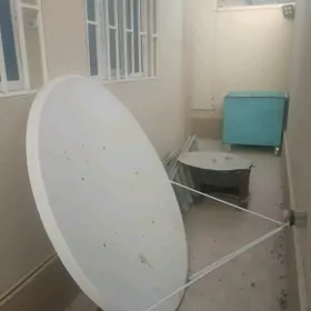 Antena anten