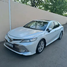 Toyota Camry 2020